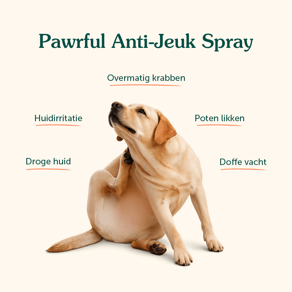 Anti-Jeuk Spray