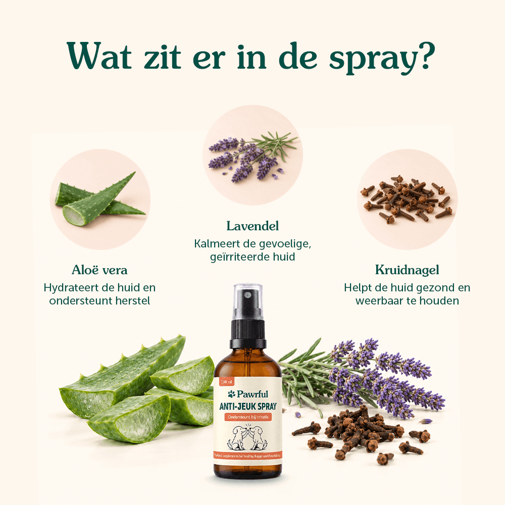 Anti-Jeuk Spray