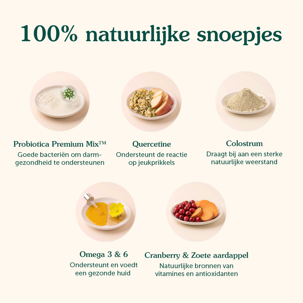 Anti-Jeuk | Ondersteunt immuunsysteem