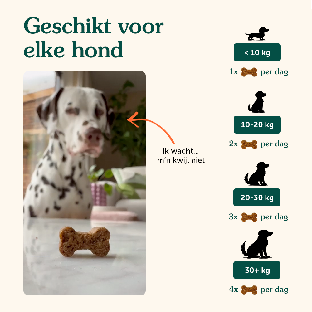 Anti-Jeuk | Ondersteunt immuunsysteem