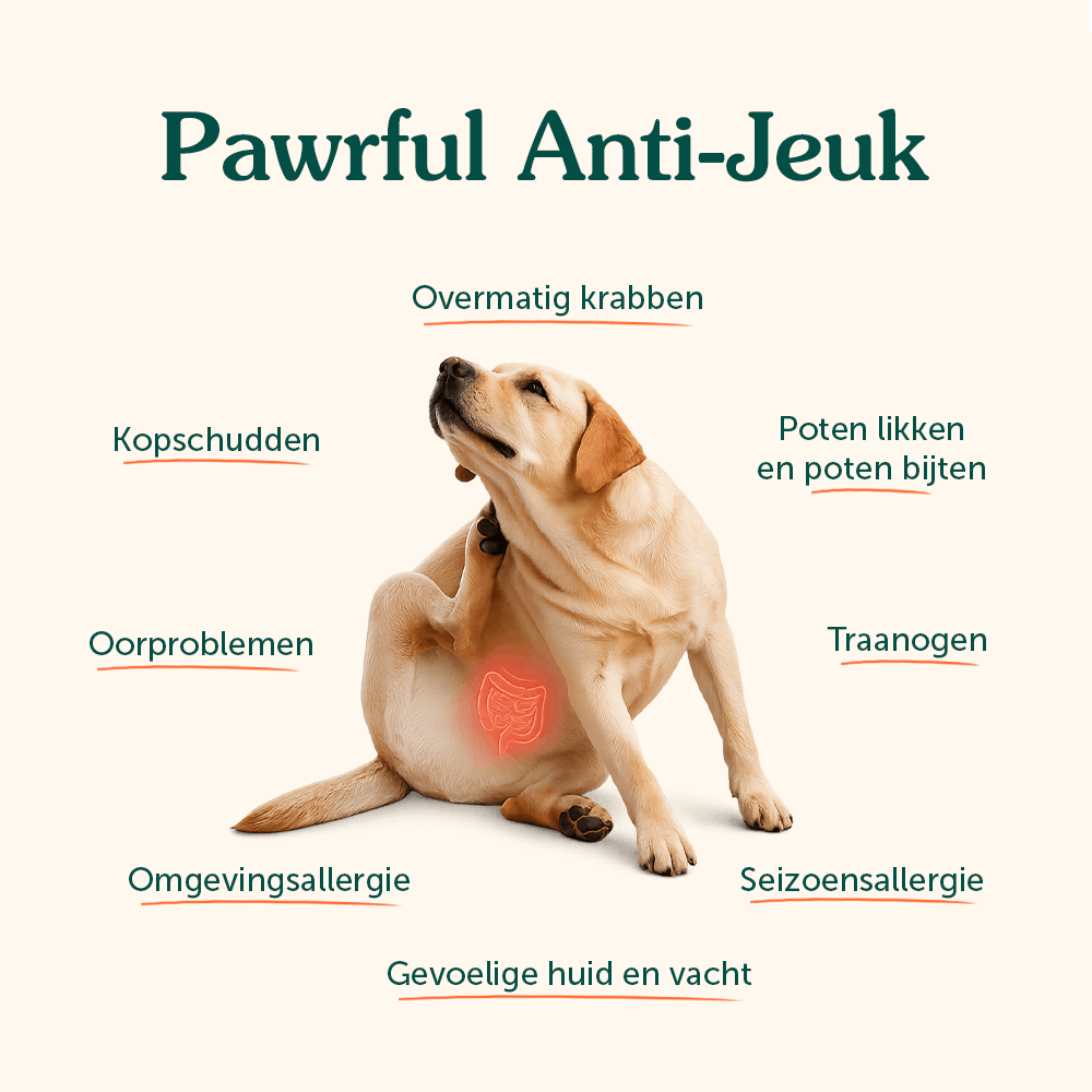 Anti-Jeuk | Ondersteunt immuunsysteem