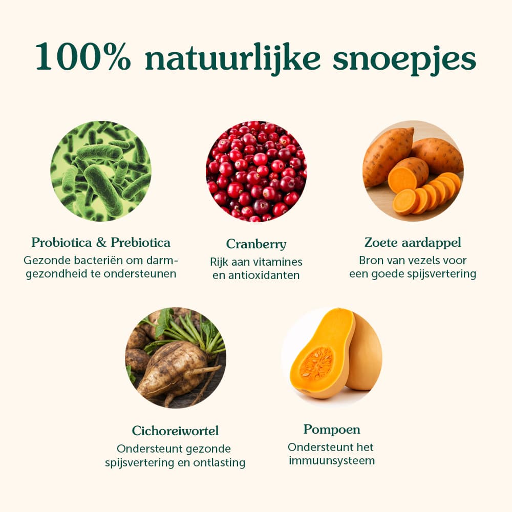 Probiotica | Anti-Jeuk & Darmgezondheid