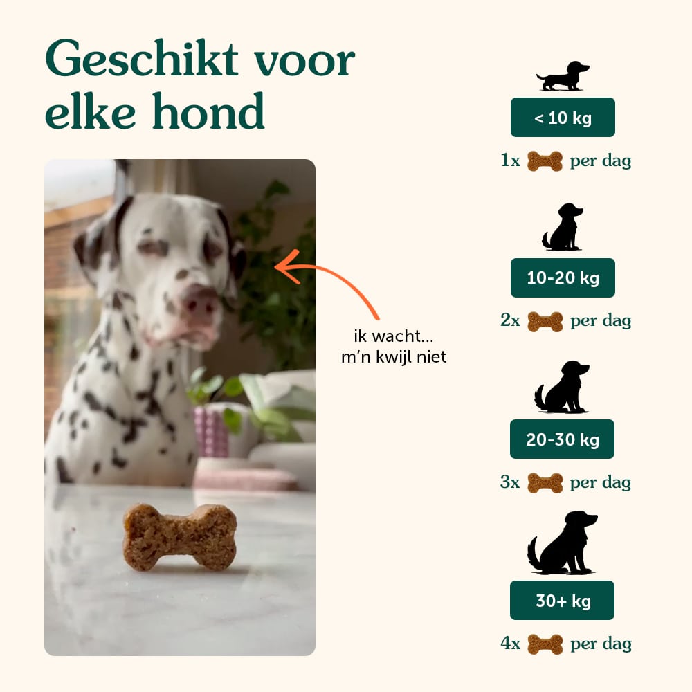 Probiotica | Anti-Jeuk & Darmgezondheid