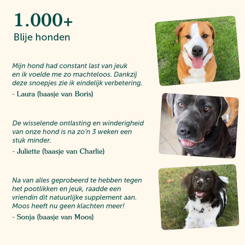 Probiotica | Anti-Jeuk & Darmgezondheid