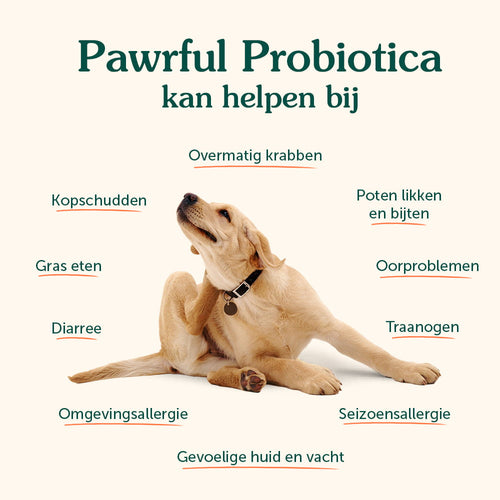 Probiotica | Anti-Jeuk & Darmgezondheid