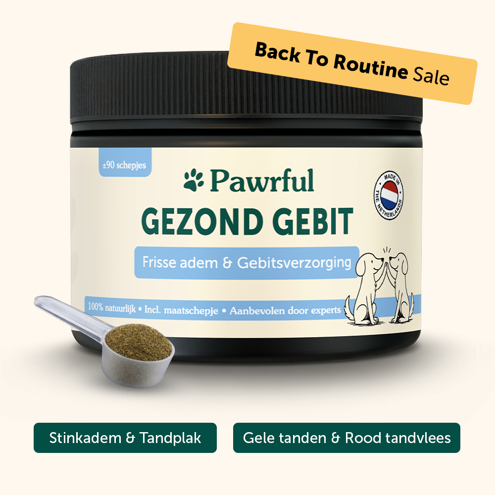 Gezond Gebit | Frisse adem & Gebitsverzorging