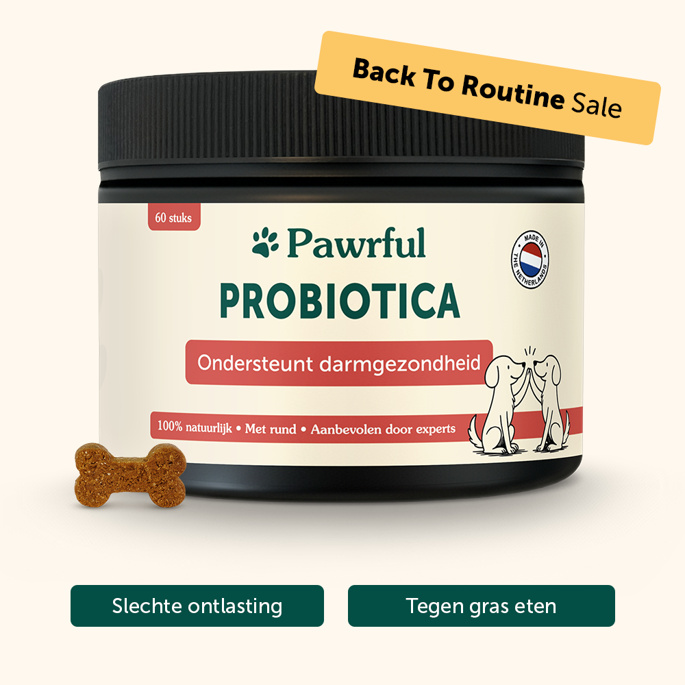 Probiotica | Ondersteunt darmgezondheid