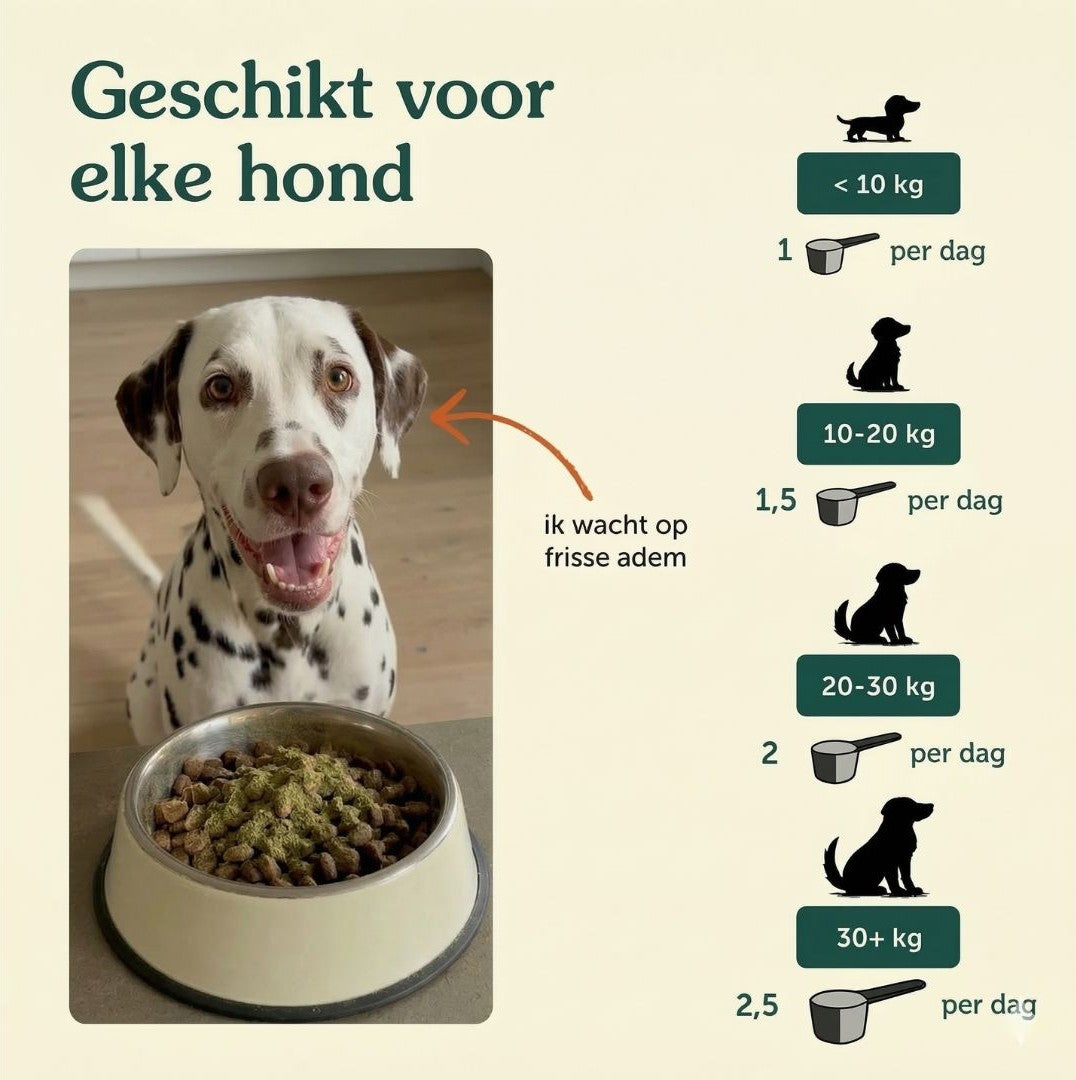 Gezond Gebit | Frisse adem & Schone tanden