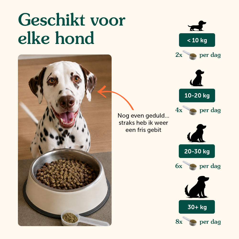 Gezond Gebit | Frisse adem & Gebitsverzorging