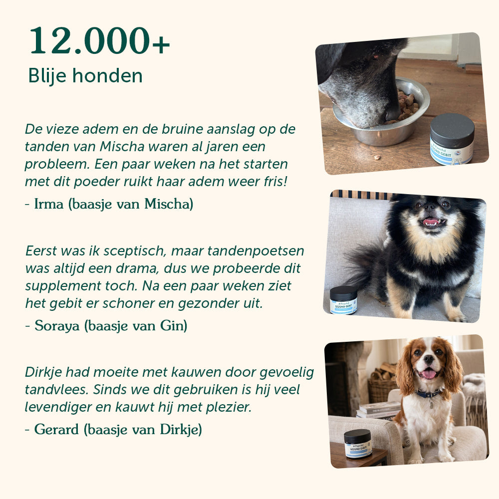 Gezond Gebit | Frisse adem & Gebitsverzorging