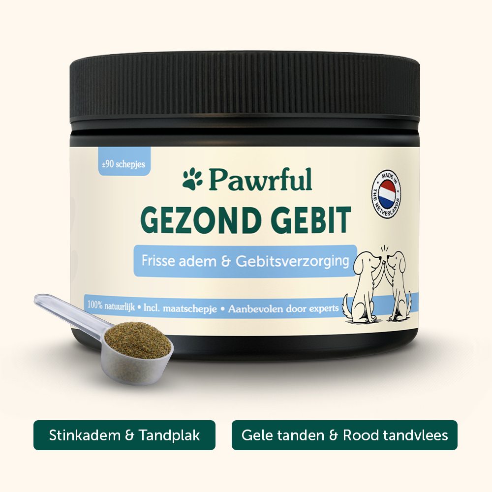 Gezond Gebit | Frisse adem & Schone tanden