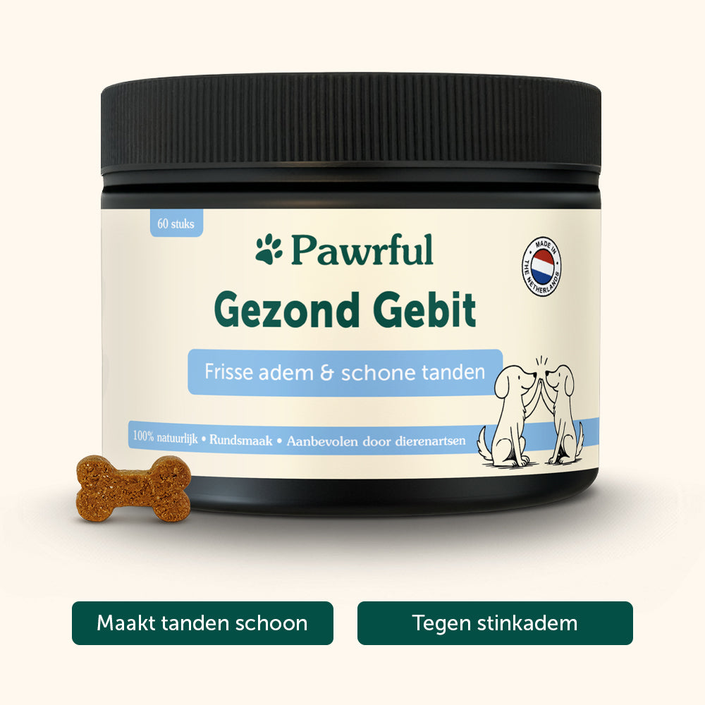 Gezond Gebit | Schone tanden en frisse adem