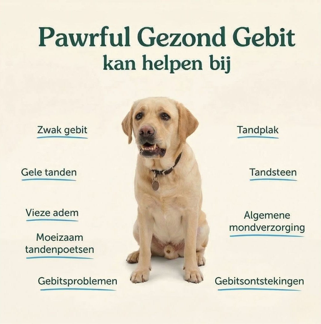 Gezond Gebit | Frisse adem & Schone tanden