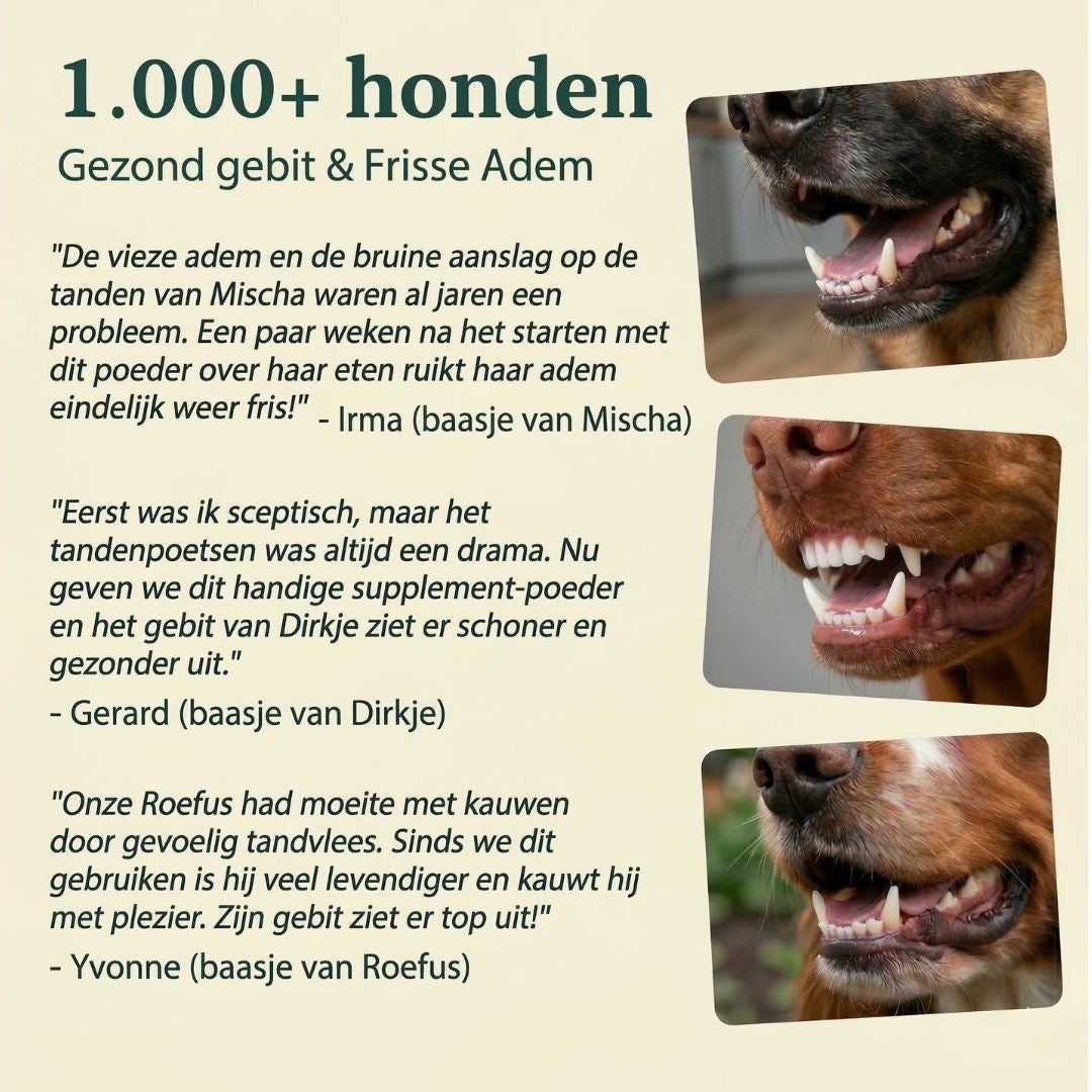 Gezond Gebit | Frisse adem & Schone tanden
