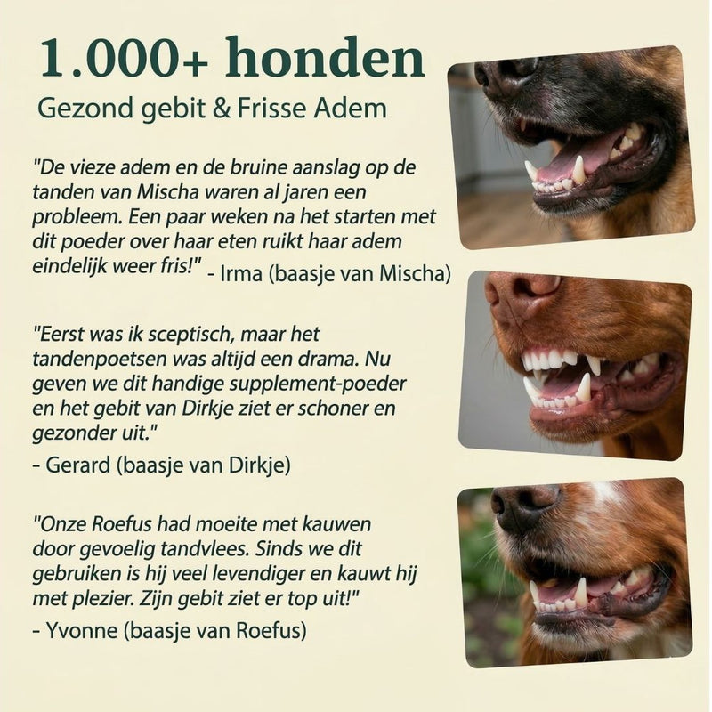 Gezond Gebit | Frisse adem & Schone tanden