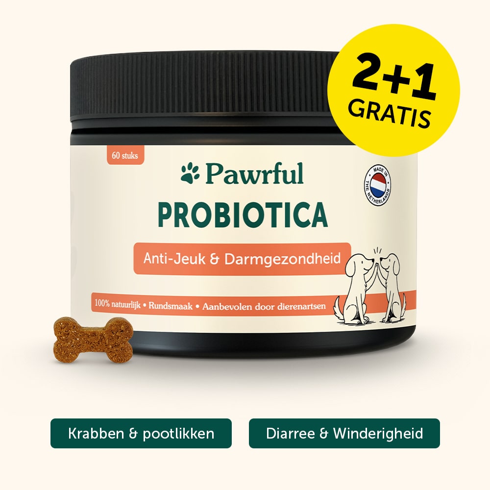 Probiotica | Anti-Jeuk & Darmgezondheid