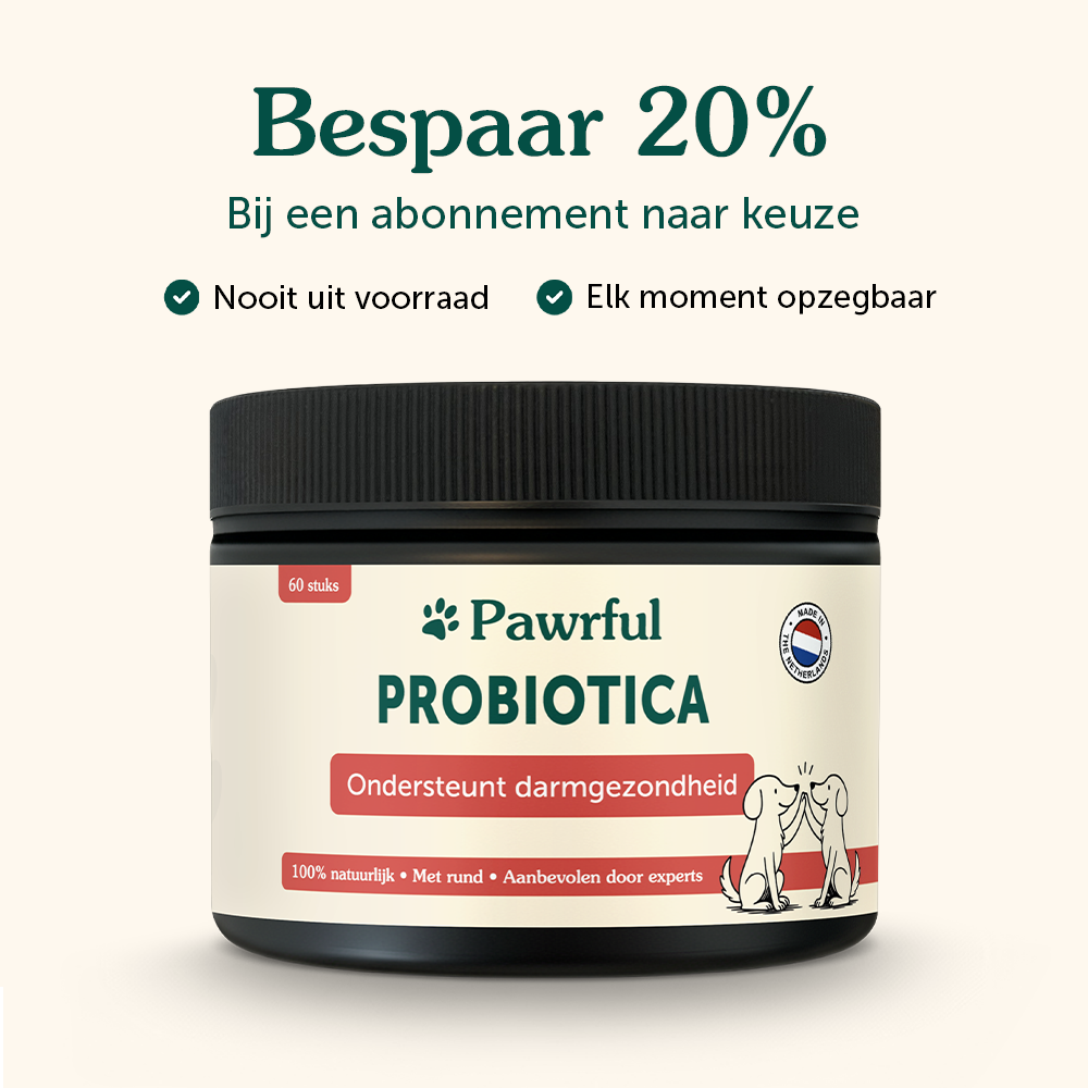 Probiotica | Ondersteunt darmgezondheid