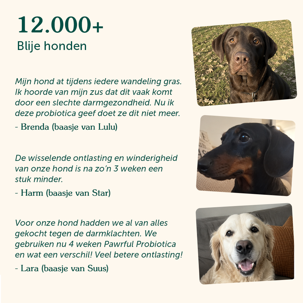 Probiotica | Ondersteunt darmgezondheid