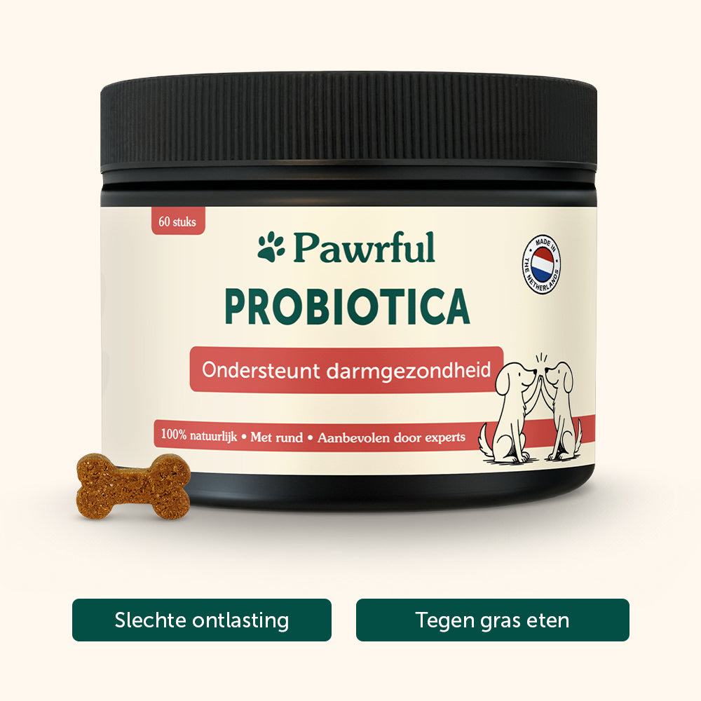 Probiotica | Ondersteunt darmgezondheid