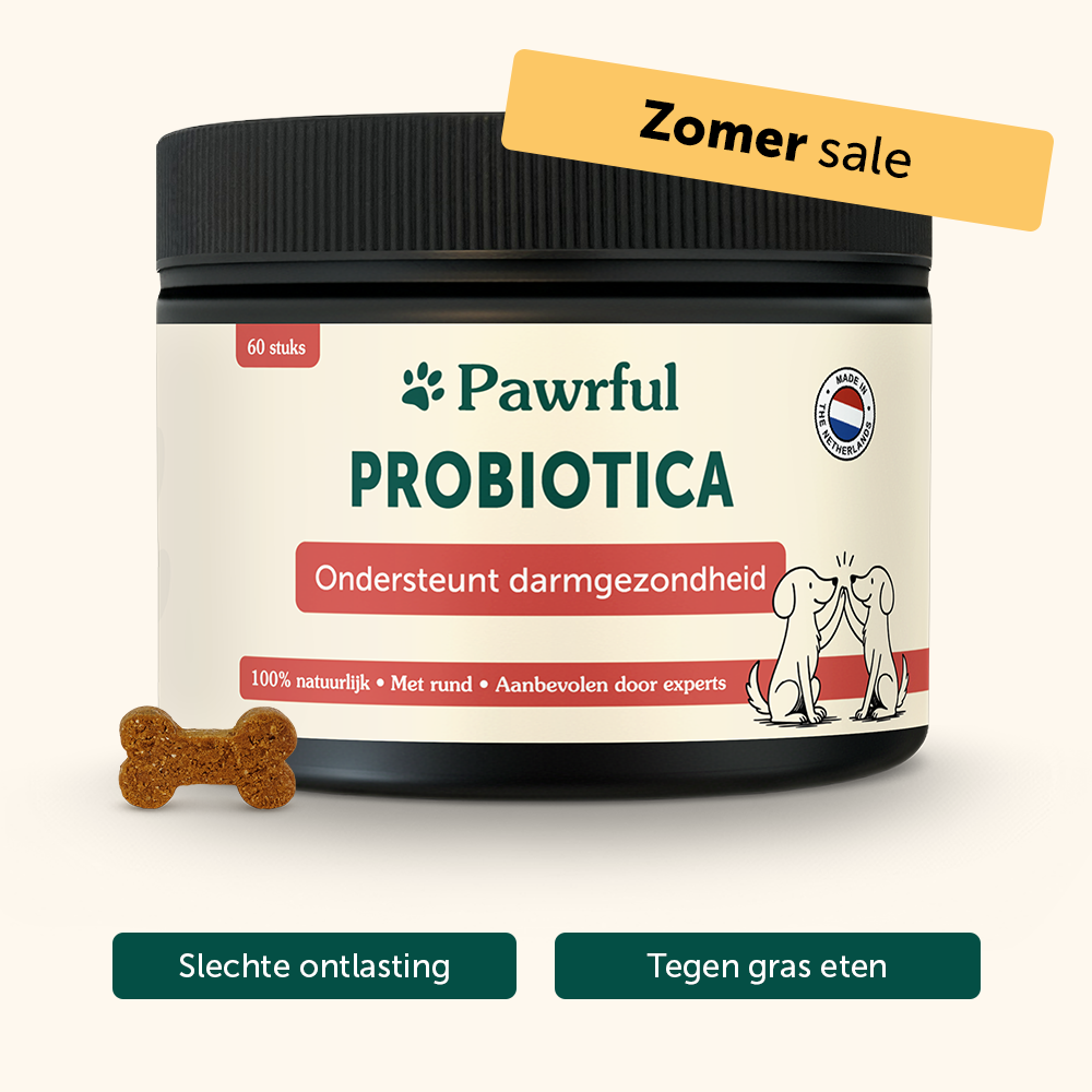 Probiotica | Ondersteunt darmgezondheid