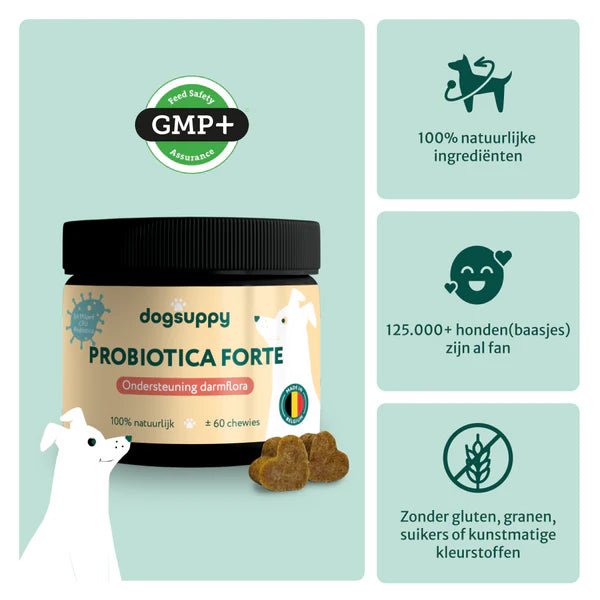 Probiotica | Anti-Jeuk