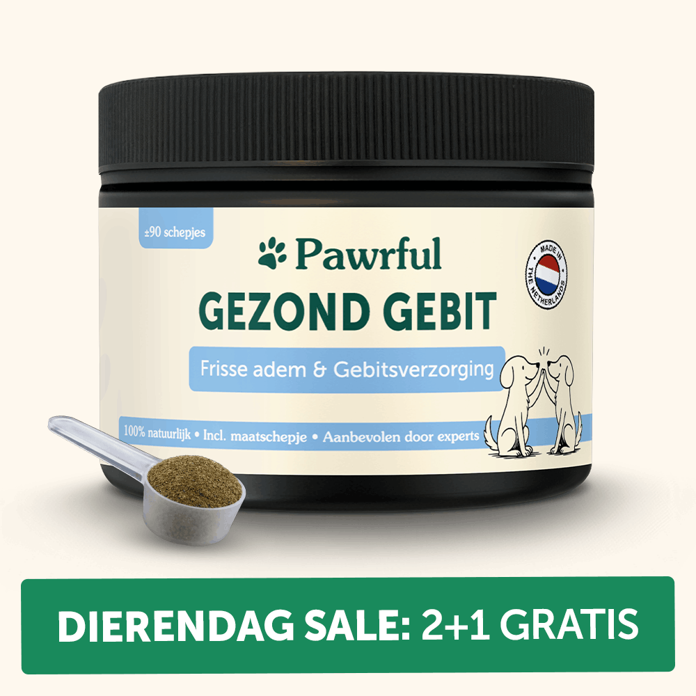 Gezond Gebit | Frisse adem & Gebitsverzorging