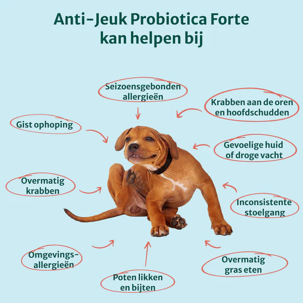 Probiotica | Anti-Jeuk