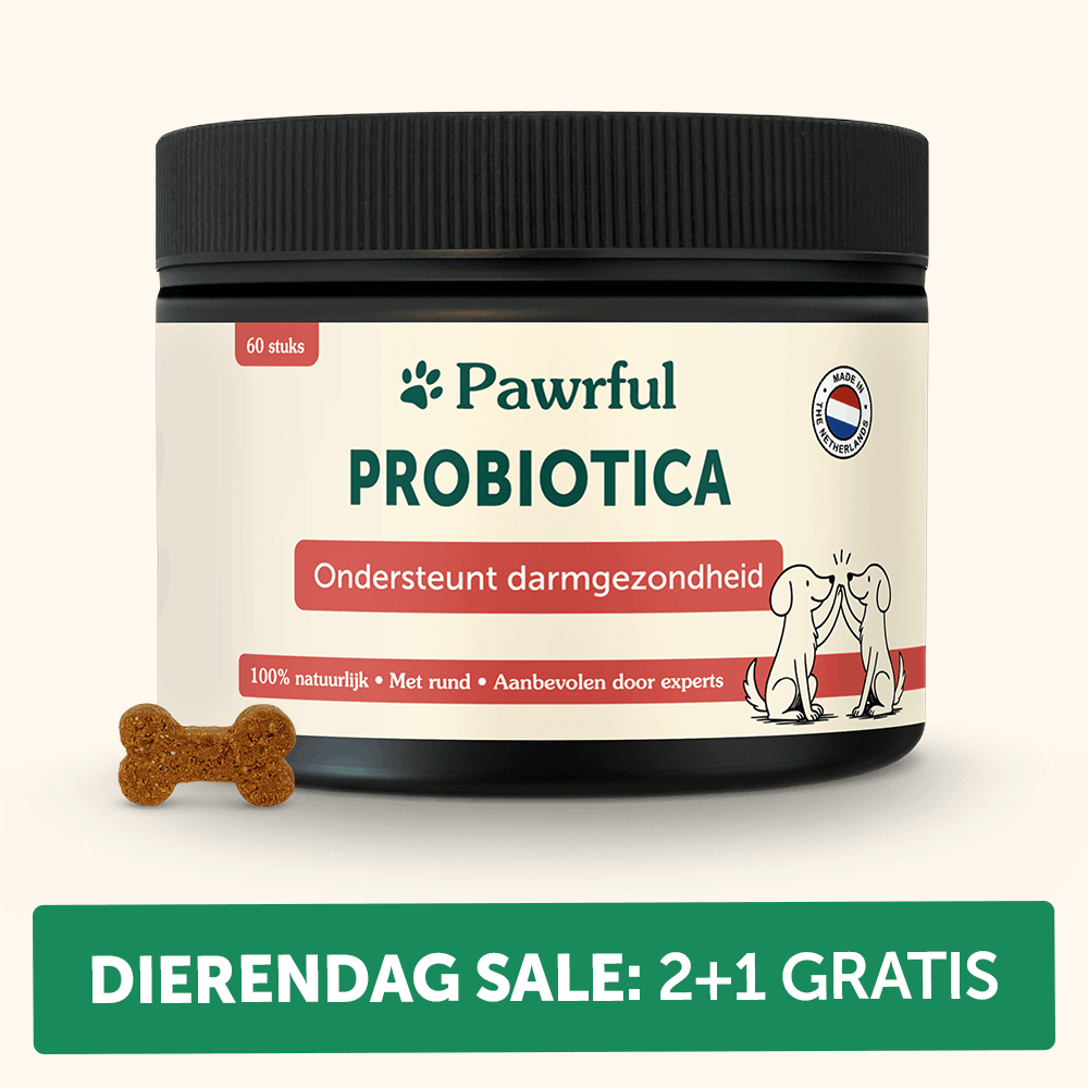 Probiotica | Ondersteunt darmgezondheid